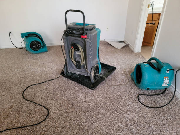 Best Sewage cleanup and water damage restoration  in Blanchard, OK