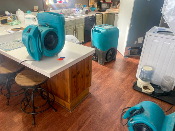 Best Mold removal after water damage  in Blanchard, OK