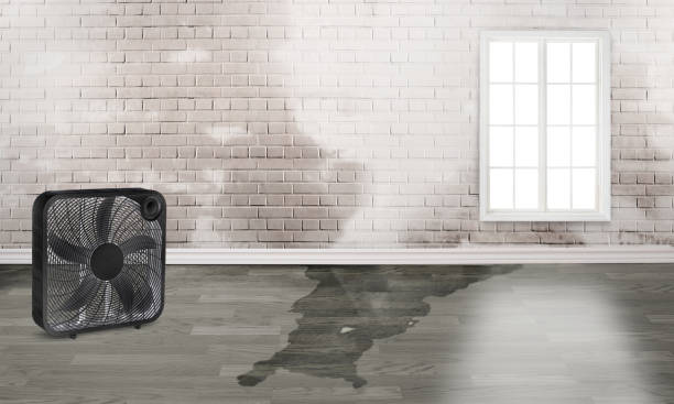 Sewage cleanup and water damage restoration in Blanchard, OK