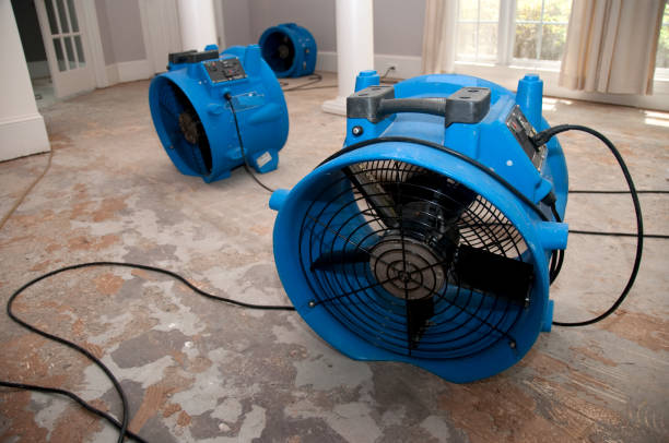 Best 24-hour water damage restoration  in Blanchard, OK