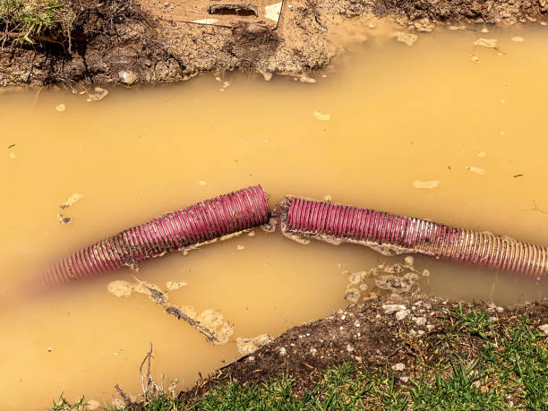Best Carpet water damage restoration  in Blanchard, OK
